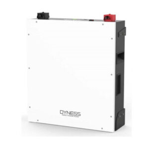 Dyness DL5.0X 51.2V 100ah 5.2kwH Lithium ion battery